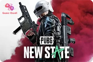 NC 300 Pubg New State